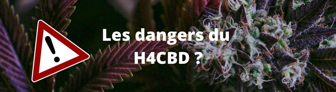 Les dangers du H4CBD