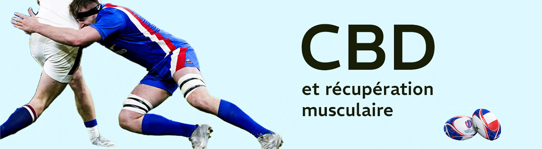 La révolution du CBD : la clé de la récupération musculaire pour les joueurs de rugby ?