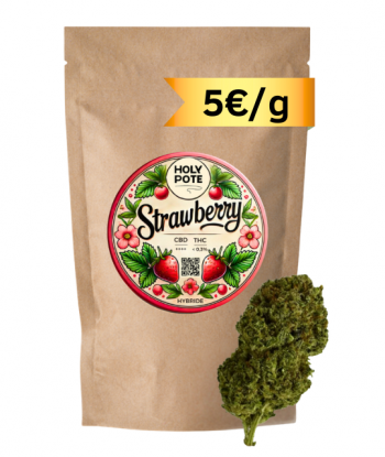strawberry-cbd-premium-glasshouse-toulouse-pas-cher