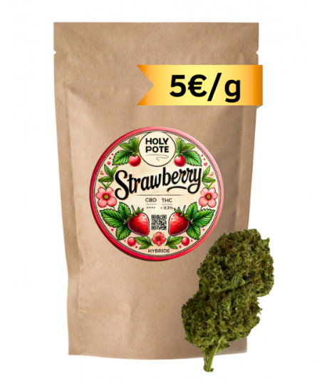 strawberry-cbd-premium-glasshouse-toulouse-pas-cher