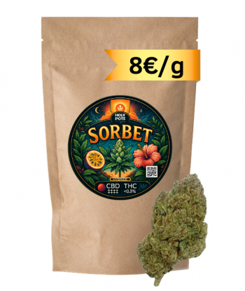 sorbet-cbd-premium-hydroponie