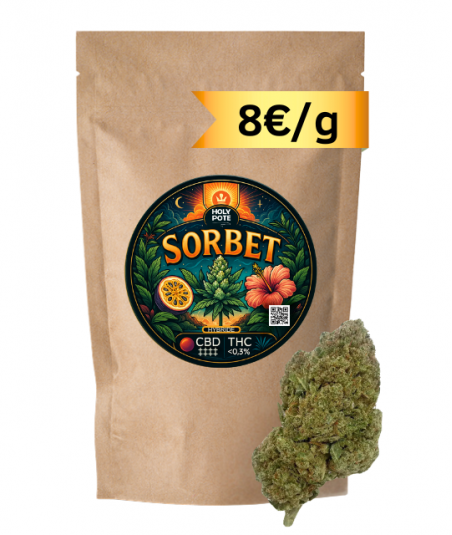 sorbet-cbd-premium-hydroponie