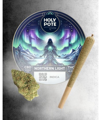 Fleurs-CBD-hydroponie