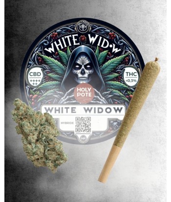 Infustick - White Widow