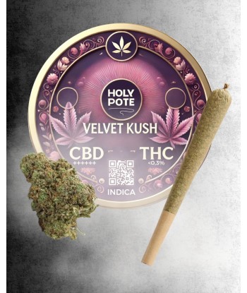 Infustick - Velvel Kush