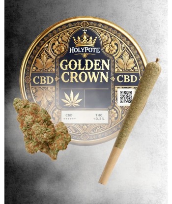 Infustick - Golden Crown