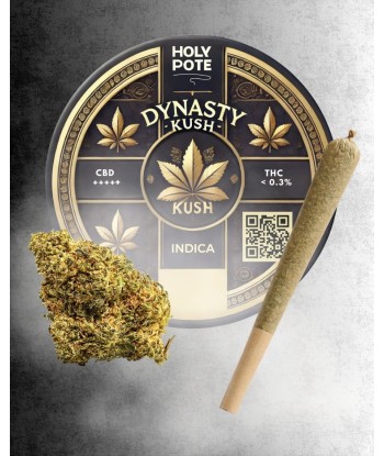 Infustick - Dynasty Kush