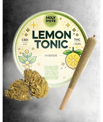 Infustick - Lemon Tonic