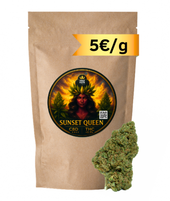 sunset-queen-cbd-premium-glasshousse