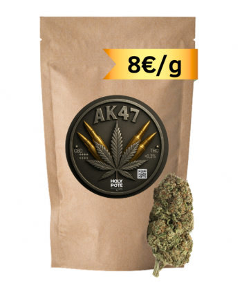 ak-47-cbd-hydroponie-premium-toulouse