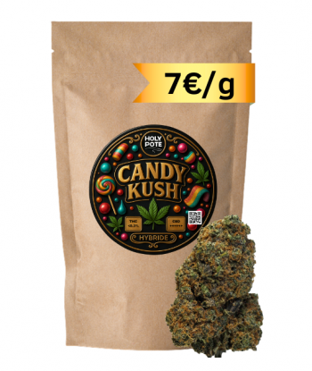 candy-kush-indoor-cbd-toulouse-culture