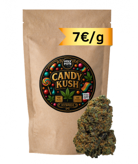 candy-kush-indoor-cbd-toulouse-culture