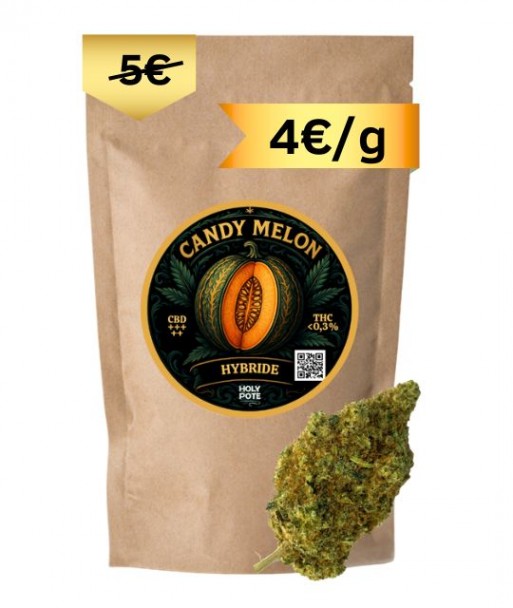 candy-melon-cbd-premium-glasshouse-toulouse-pas-cher candy-melon-cbd-premium-glasshouse-toulouse-pas-cher