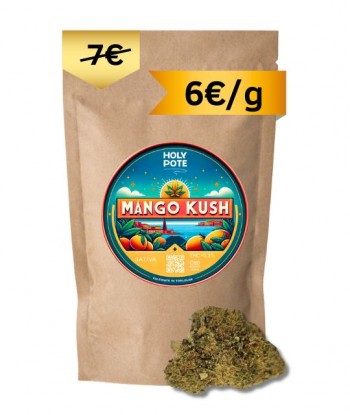 mango-kush-hydroponie-cbd-toulouse-culture-achat-qualité-premium-pas cher