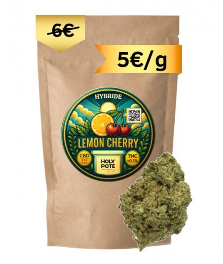 lemon-cherry-fleurs-cbd-toulouse-shop-magasin-top-premium-indoor