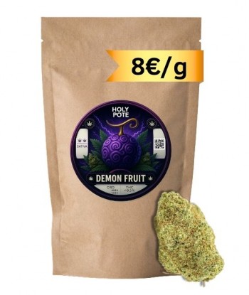 demon-fruit-hydroponie-cbd