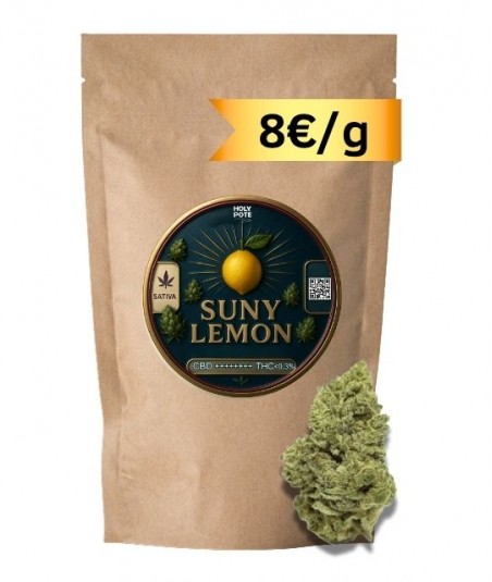 suny-lemon-hydroponie-cbd