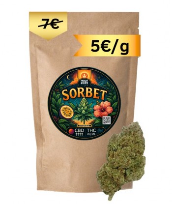 sorbet-cbd-hydroponie