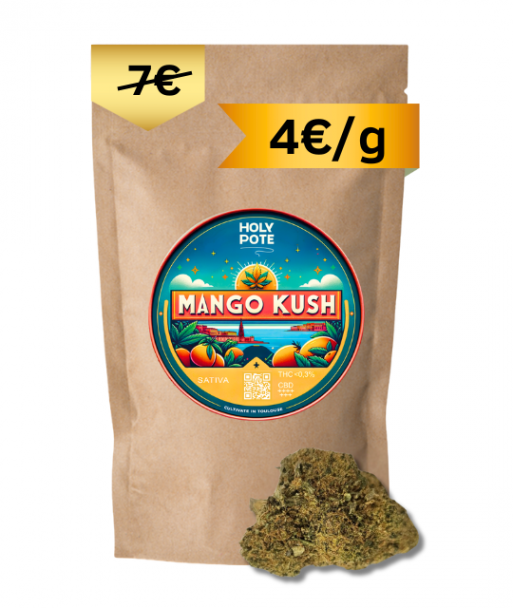 mango-kush-hydroponie-cbd-toulouse-culture-achat-qualité-premium-pas cher