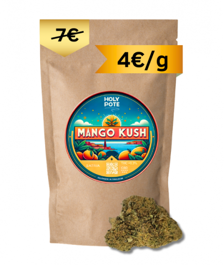 mango-kush-hydroponie-cbd-toulouse-culture-achat-qualité-premium-pas cher