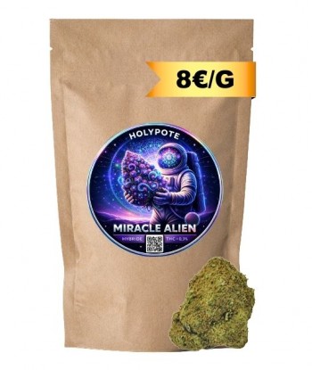 miracle-alien-fleurs-cbd-toulouse-shop-magasin-top-premium-hydroponie