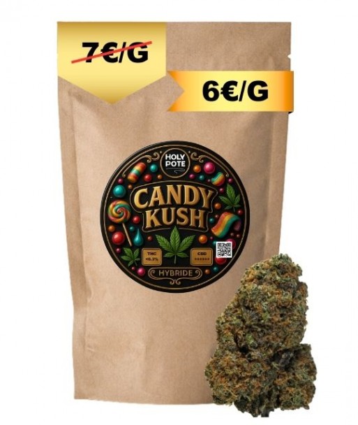 candy-kush-indoor-cbd-toulouse-culture