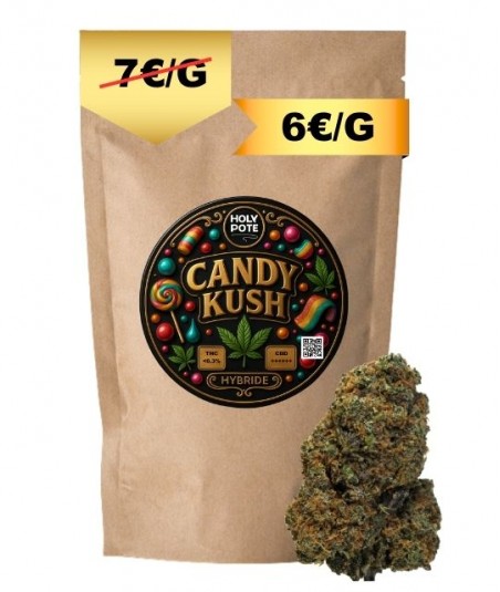 candy-kush-indoor-cbd-toulouse-culture