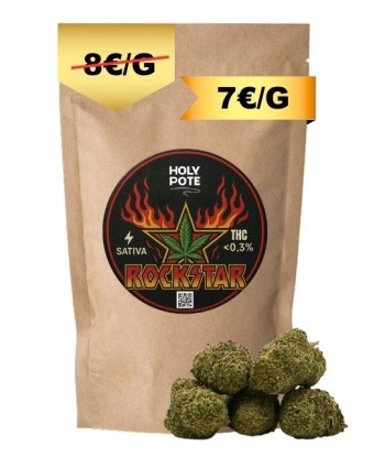 rockstar-cbd-hydroponie-premium