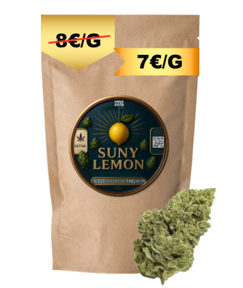 suny-lemon-hydroponie-cbd