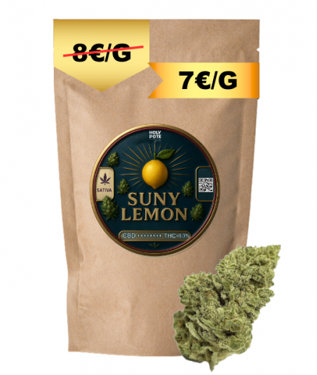 suny-lemon-hydroponie-cbd