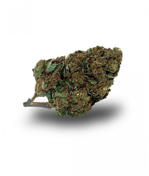 chocolop-cbd-sommeil-detente-repos-stress-bienfaits-cdb