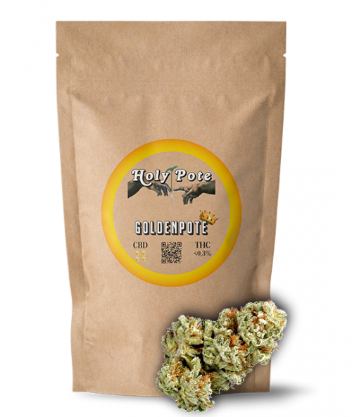 goldenpote-fleurs-cbd-premium-toulouse-shop-magasin