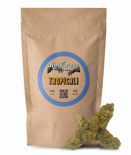 tropicali-cbd-premium-indoor-toulouse-pas-cher