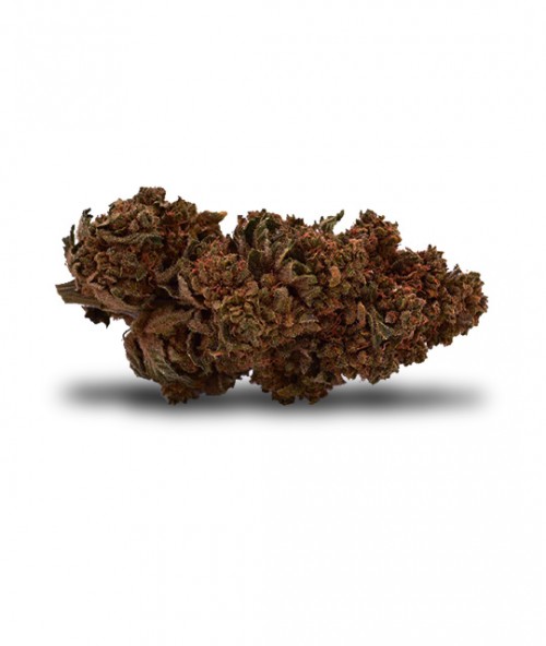 pamplemousse-agrumes-cbd-outdoor-pas-cher