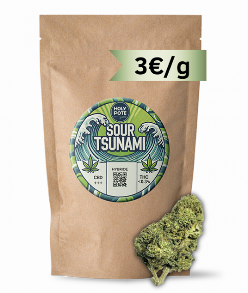 sour-tsunami-cbd-holypote-fleurs