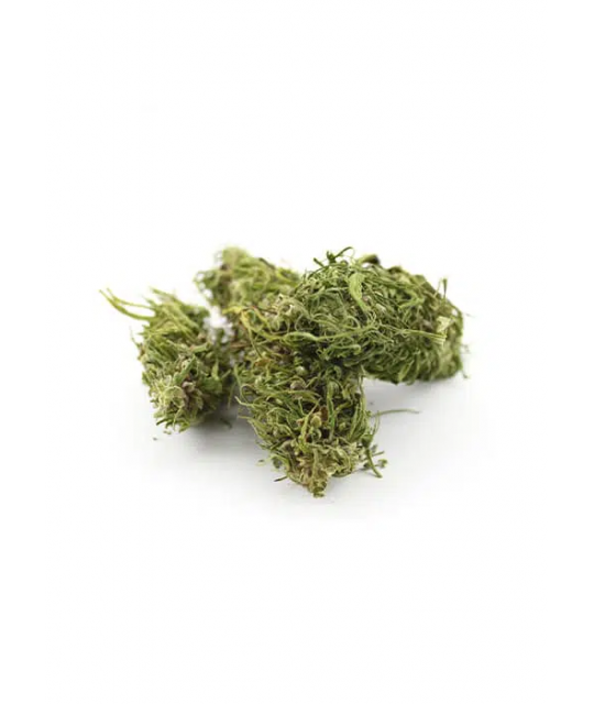 fedora-fleur-cbd