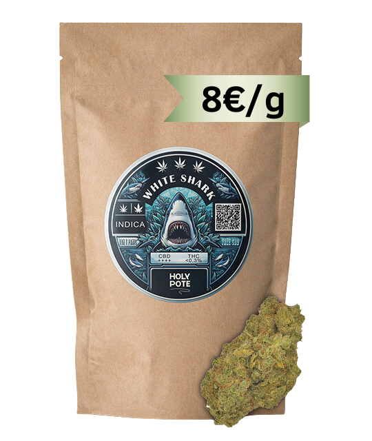 white-shark-holypote-toulouse-cbd-shop-hydro-top-qualité