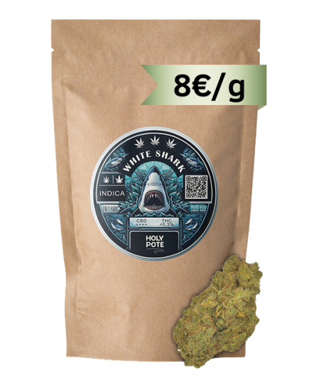 white-shark-holypote-toulouse-cbd-shop-hydro-top-qualité