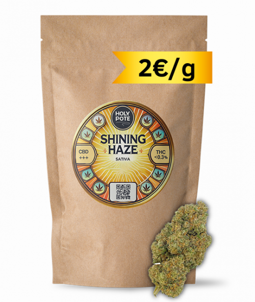 shining-haze-cbd-toulouse-hydroponie