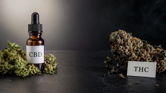 CBD vs THC : différences, effets et légalité en 2026