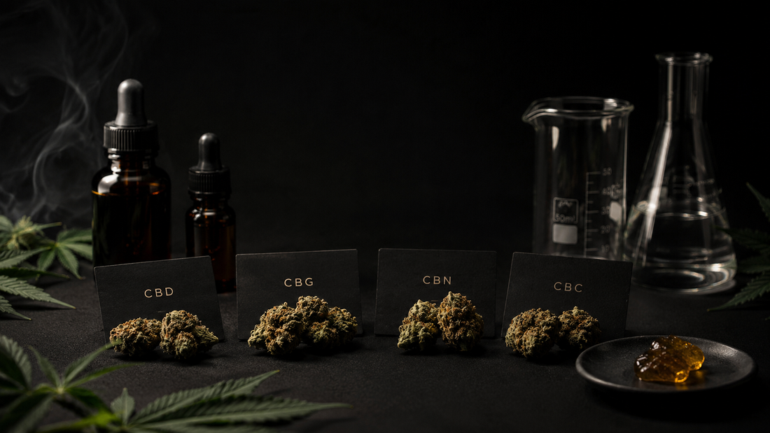 Cannabinoïdes 2026 : CBD, CBG, CBN et CBC expliqués