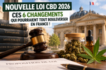Nouvelle loi CBD 2026 : ce qui pourrait changer en France