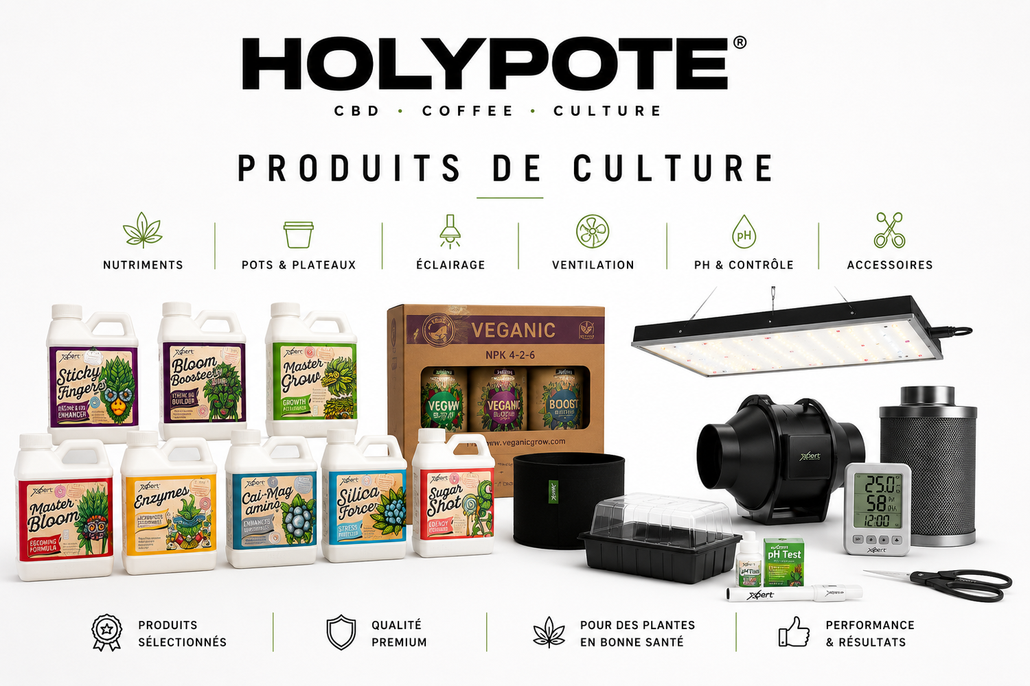 Nutrition et culture