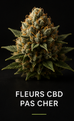 Fleurs CBD Pas Cher