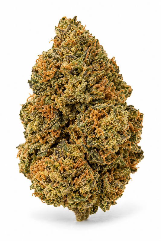 Orange Sherbet – Indoor Hydroponie