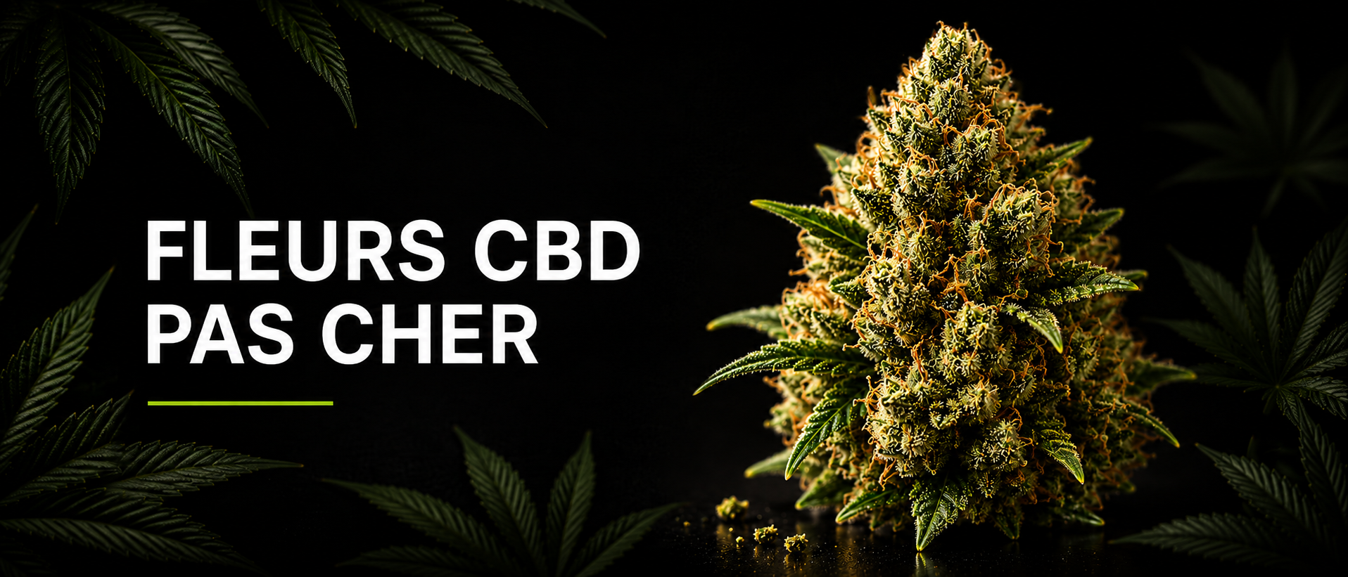 Fleurs CBD Pas Cher