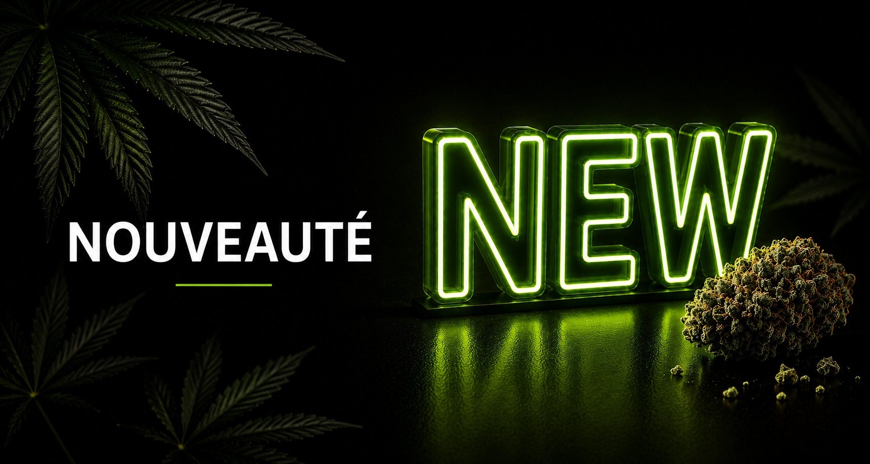 Nouveautés 💚