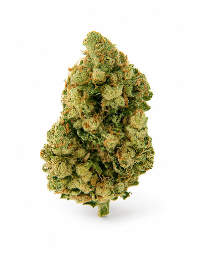 Cali Bay Dream - Hydro