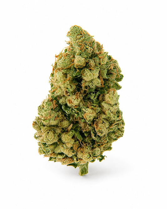 Cali Bay Dream - Hydro