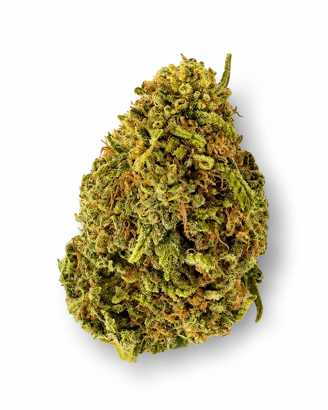 Cali Muffin - Hydro